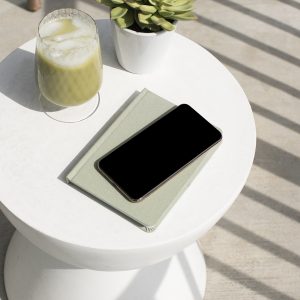 Consultation (Expert)